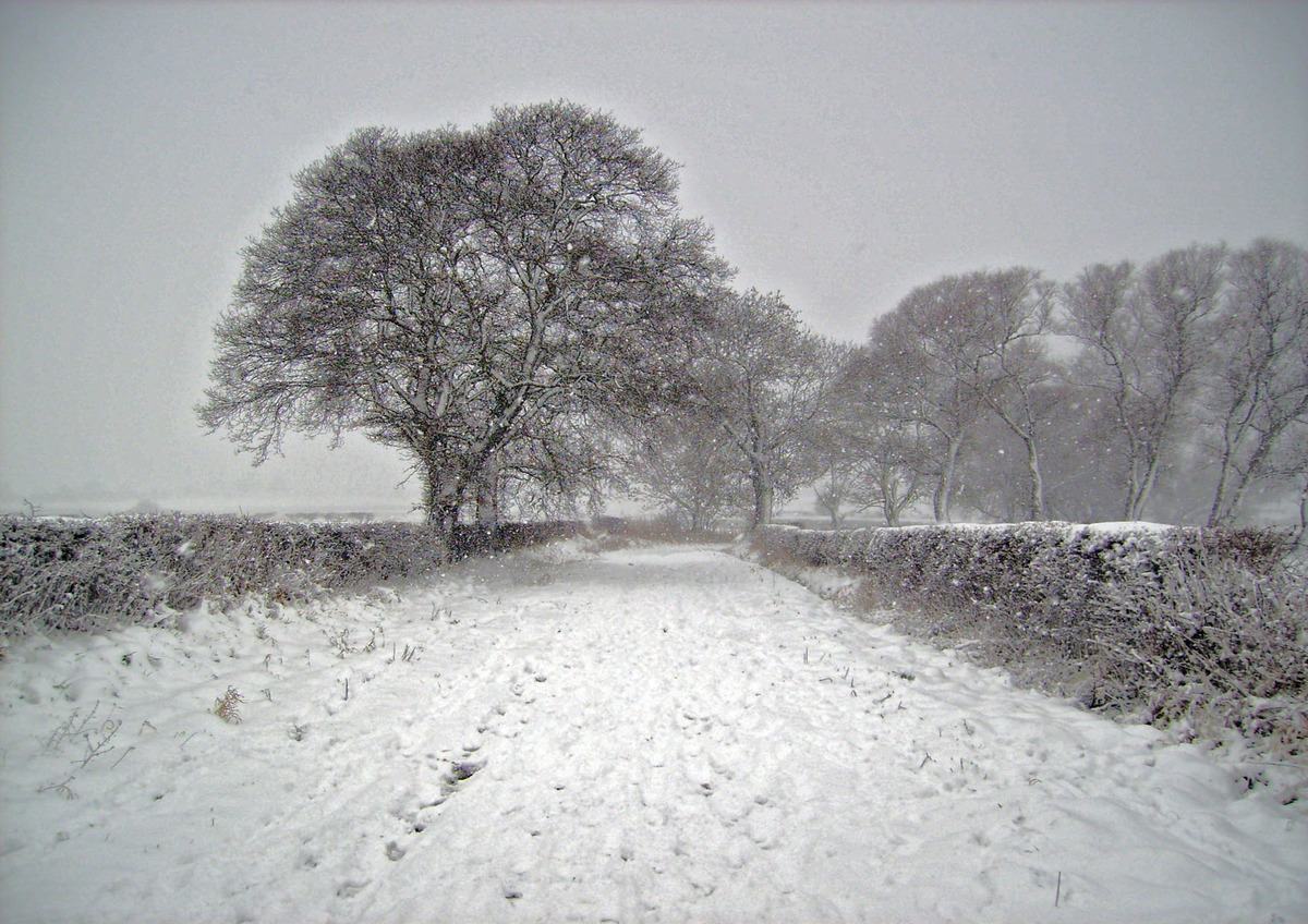 Donkey Lane in the snow 2008